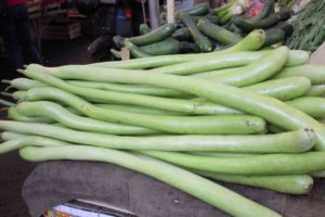 Stracotto di Cucuzza