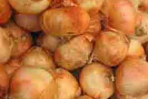 Cream of Vidalia Onion Soup